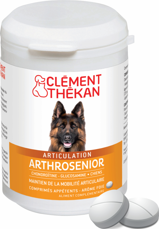 Clément Thékan Arthrosenior Articulação Cão Mobilidade Articular 60 comprimidos