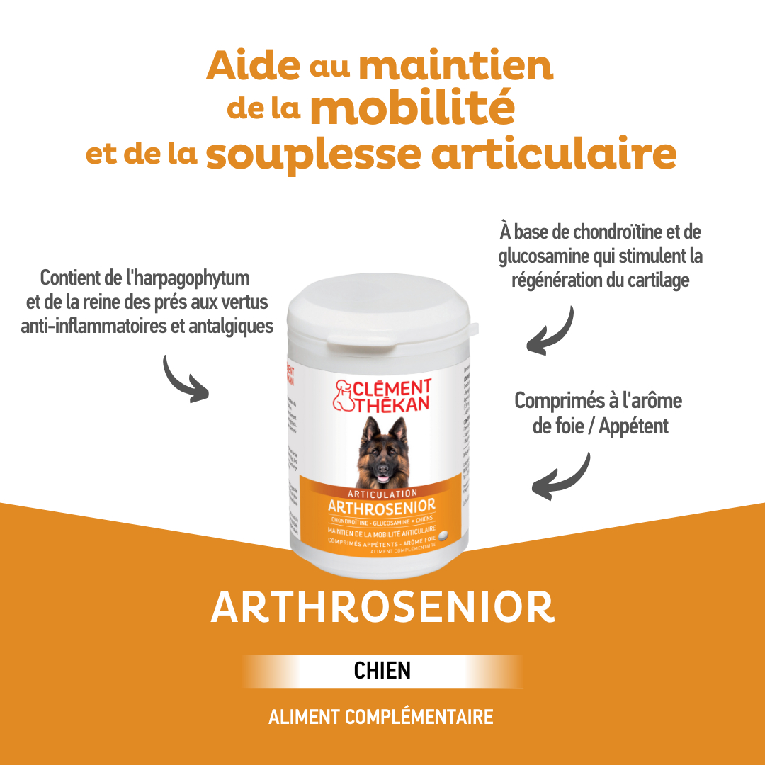 Clément Thékan Arthrosenior Articulation Dog Articular Mobility 60 Tabletten
