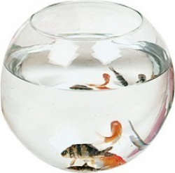 Goldfischglas 230