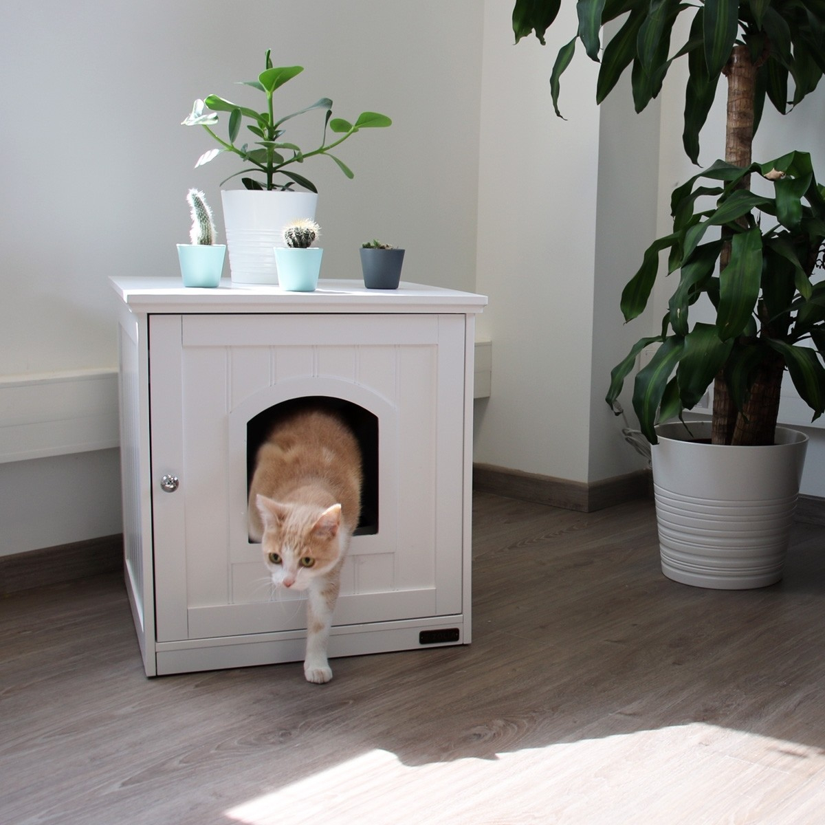 Maison de toilette en bois multi-usages Zolia Montréal