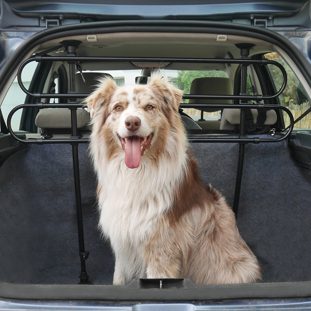 Telo di protezione per sedili posteriori, telo per cani Nero per auto, Protezione del bagagliaio, Trasporto, Comfort e accessori
