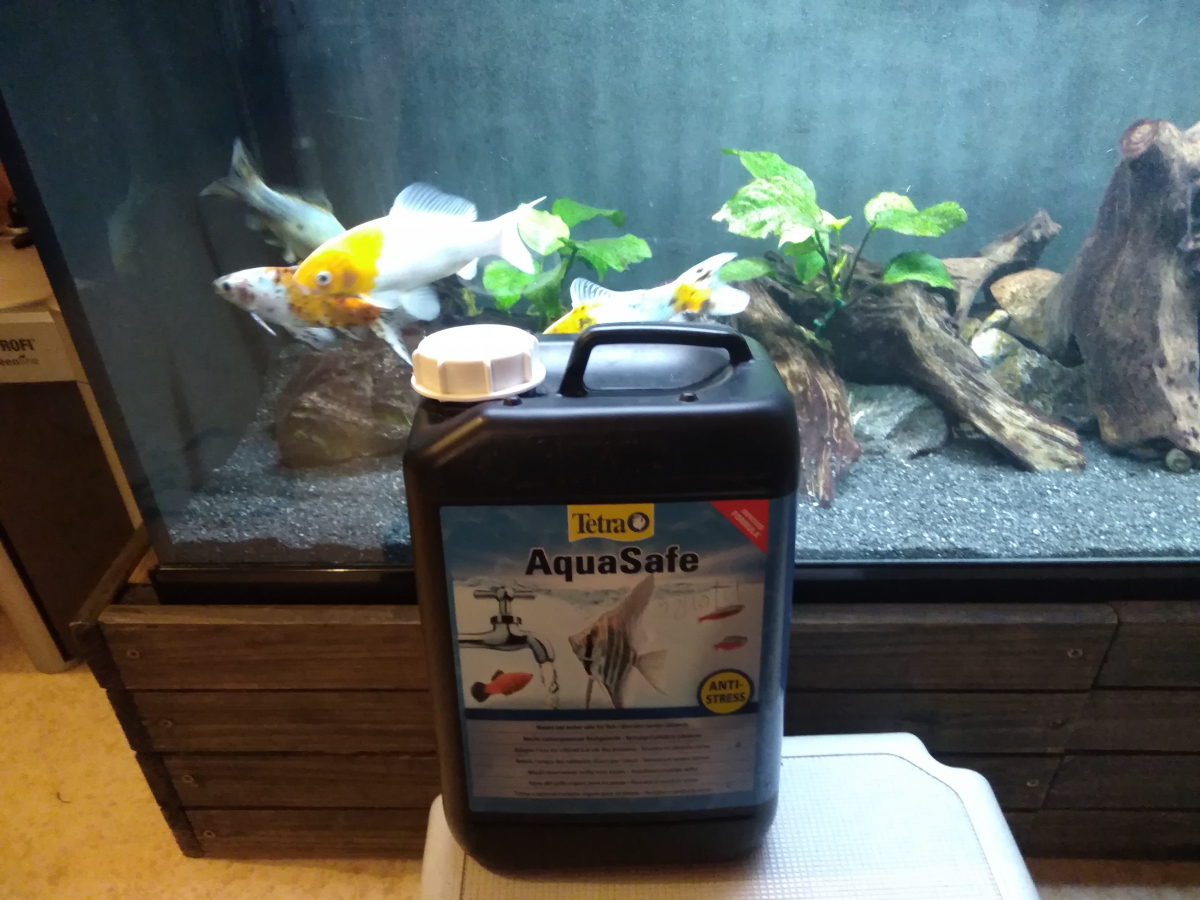 Seachem prime conditionneur d'eau pour aquarium pas cher