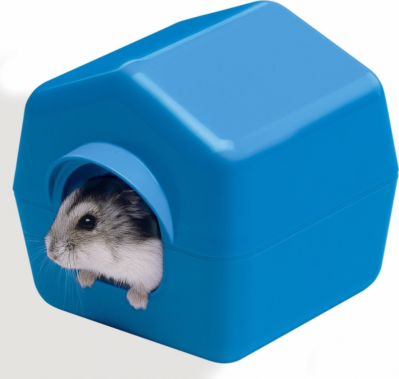 Klein plastic hamsterhuisje