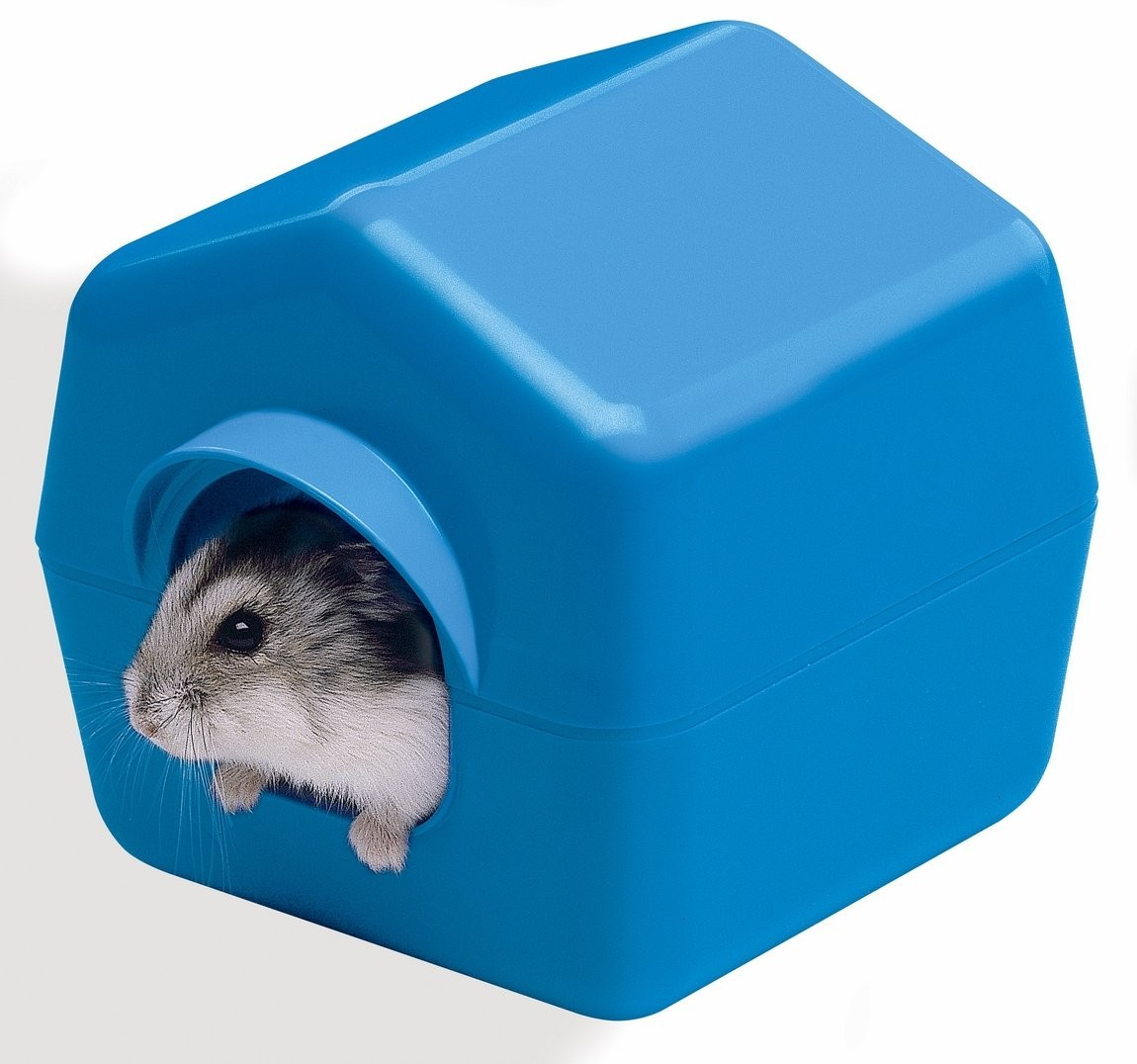 Maisonnette en plastique pour hamster
