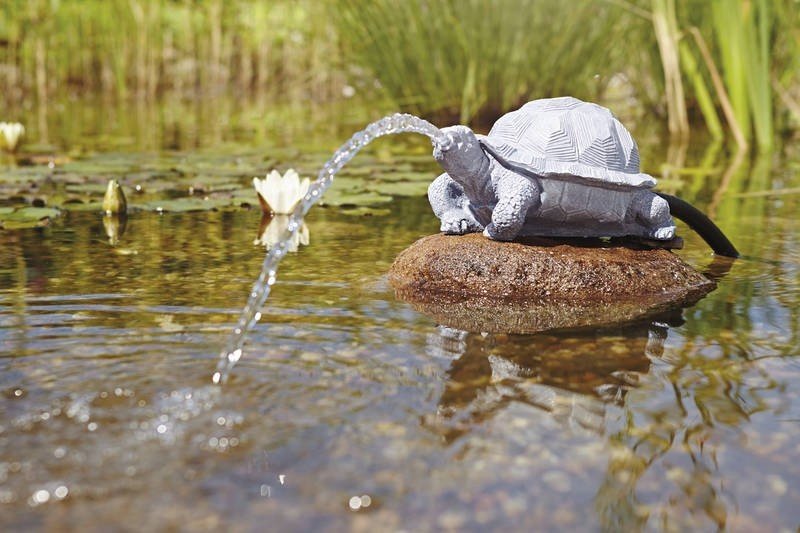 Waterspuwer schildpad