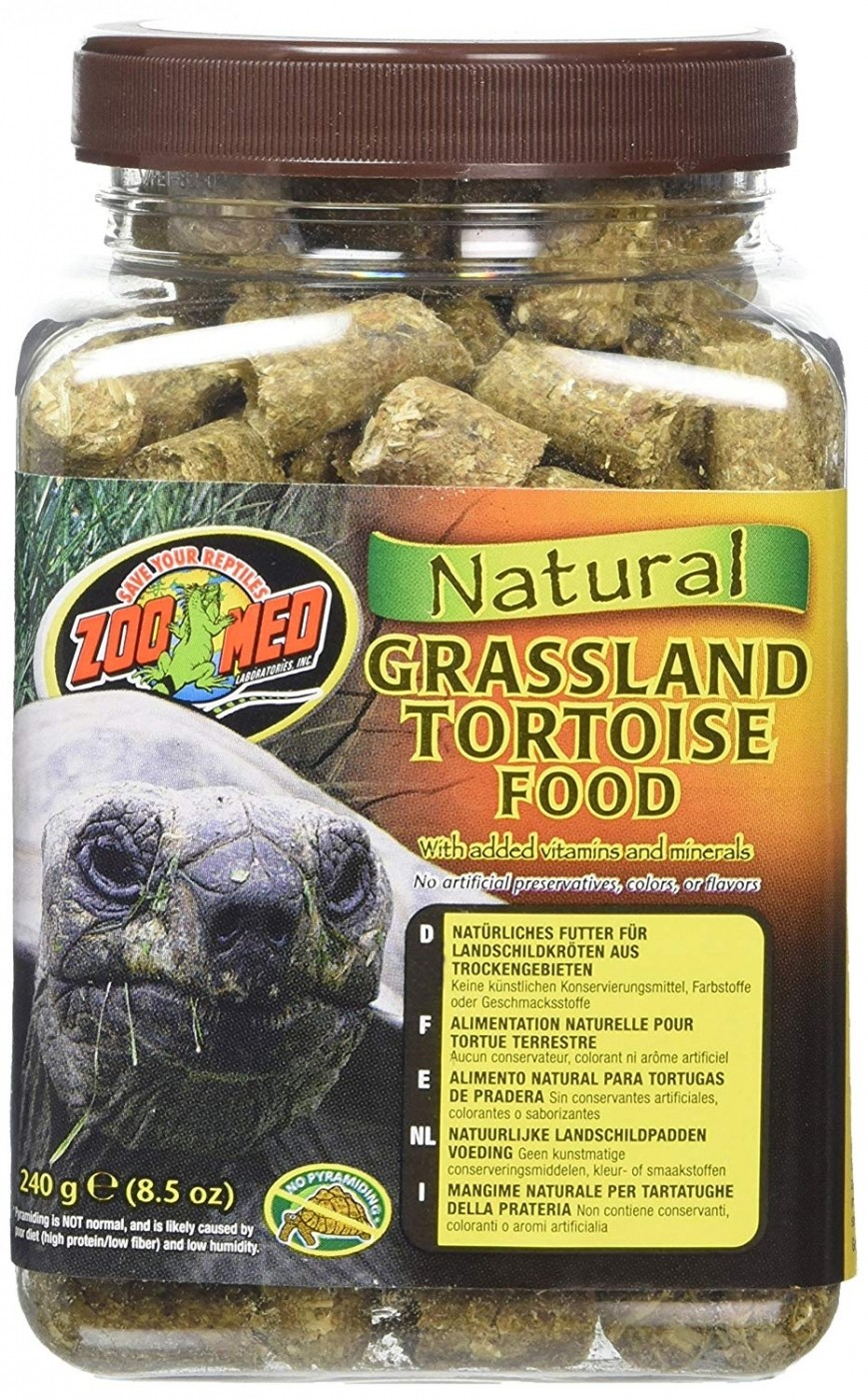 Zoomed Grassland Tortoise natuurlijk voer voor landschildpadden