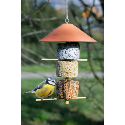 Alimentador de pássaros da natureza - A torre de inverno - Crescimento criativo