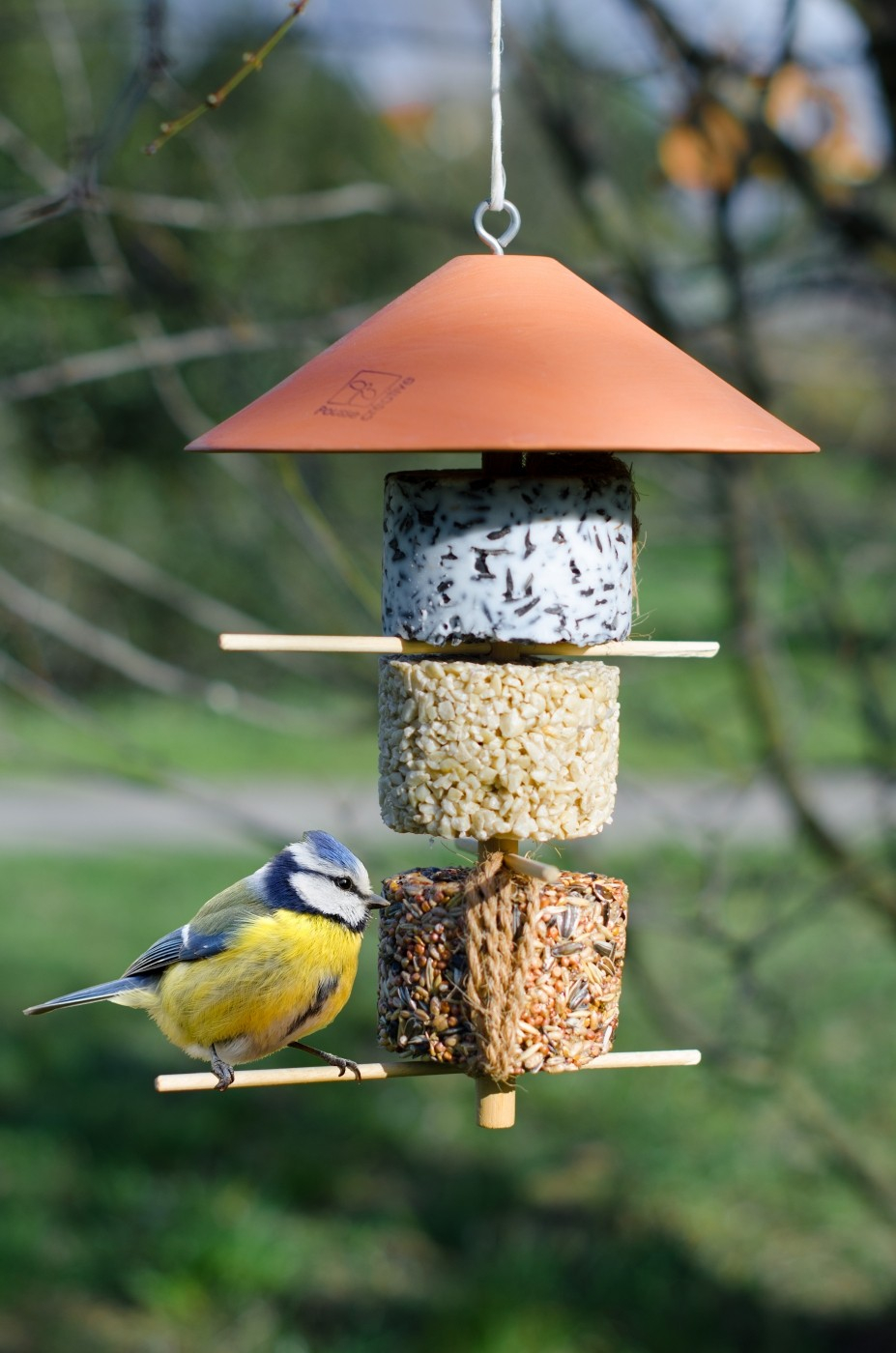 Alimentador de pássaros da natureza - A torre de inverno - Crescimento criativo