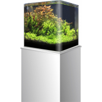 Amtra Nano Tank Nano acuario de cristal con esquinas redondeados
