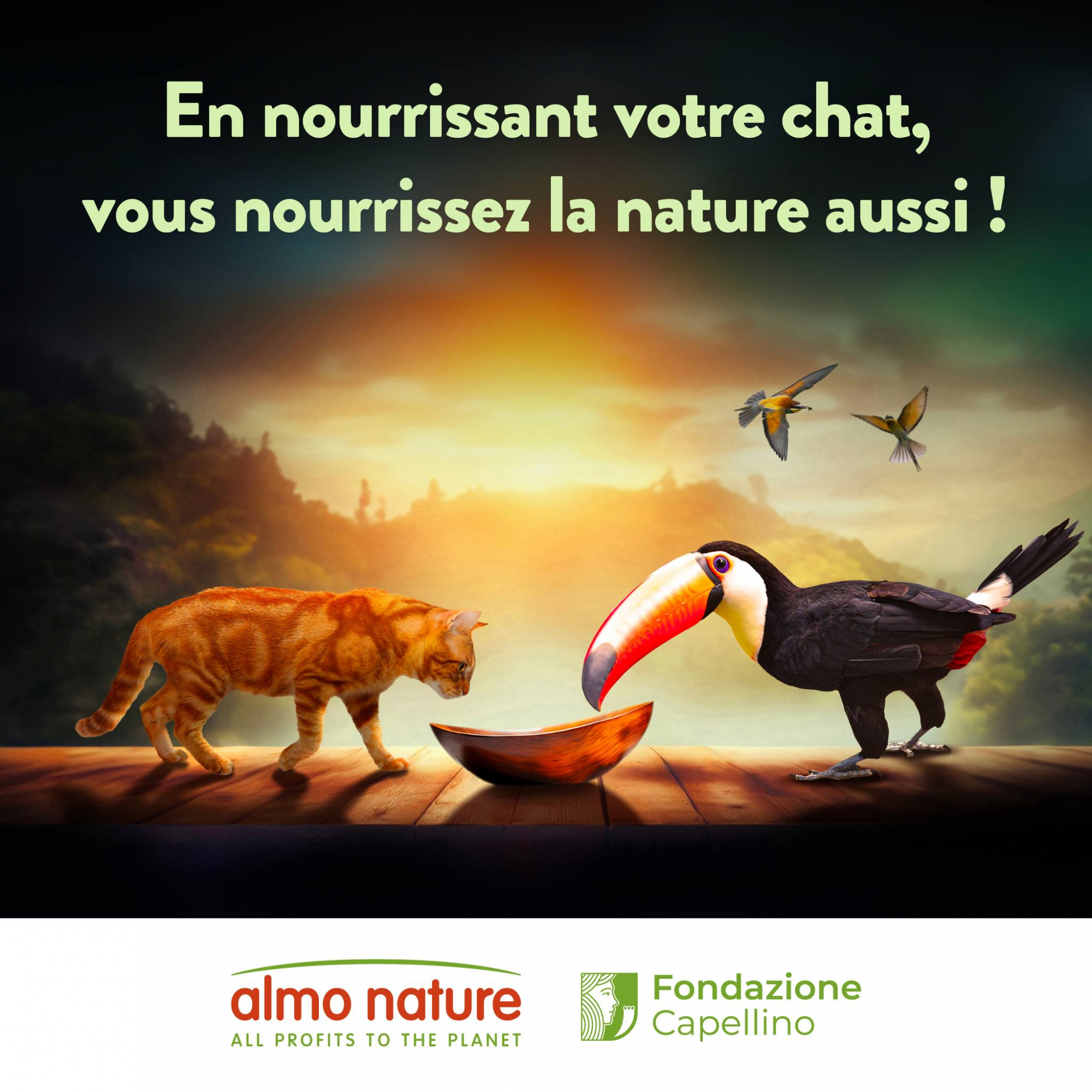 ALMO NATURE Holistic Urinary Croquettes au poulet frais pour chat 