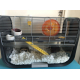 Cage-pour-hamsters-Geneva---60cm-_de_Dounia_80142773260676a4c209527.04385590