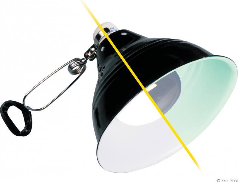 Trixie Trixie Lampe Pince Réflecteur Diamètre 14 × 17 cm 