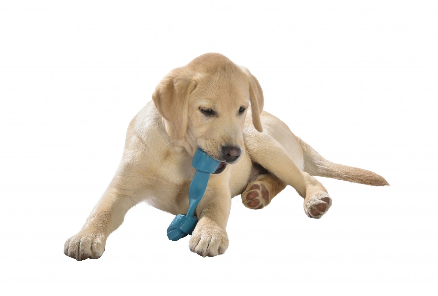 Brinquedo para cães Rope BOBBY feito de borracha natural - para todos os cães