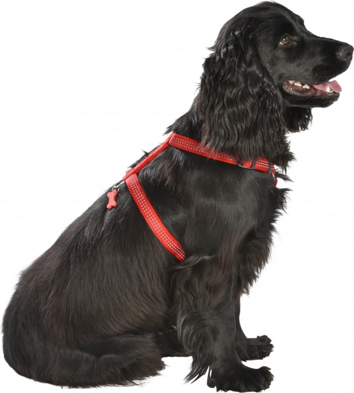 Harnais pour chien Classique Safe BOBBY - Réfléchissant - Noir ou Rouge 