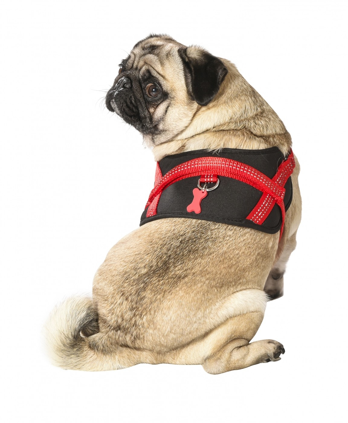 Arnês Easy Safe para cães BOBBY Vermelho - Refletor