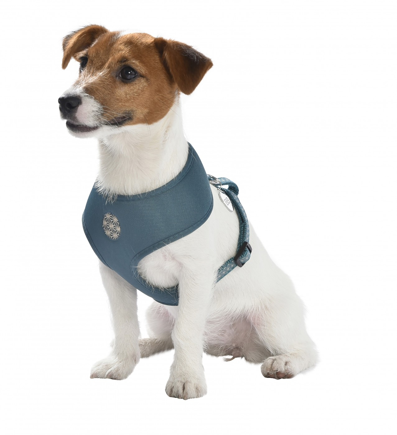 Arnés Camiseta Asanoha BOBBY para perros pequeños - Varios colores disponibles