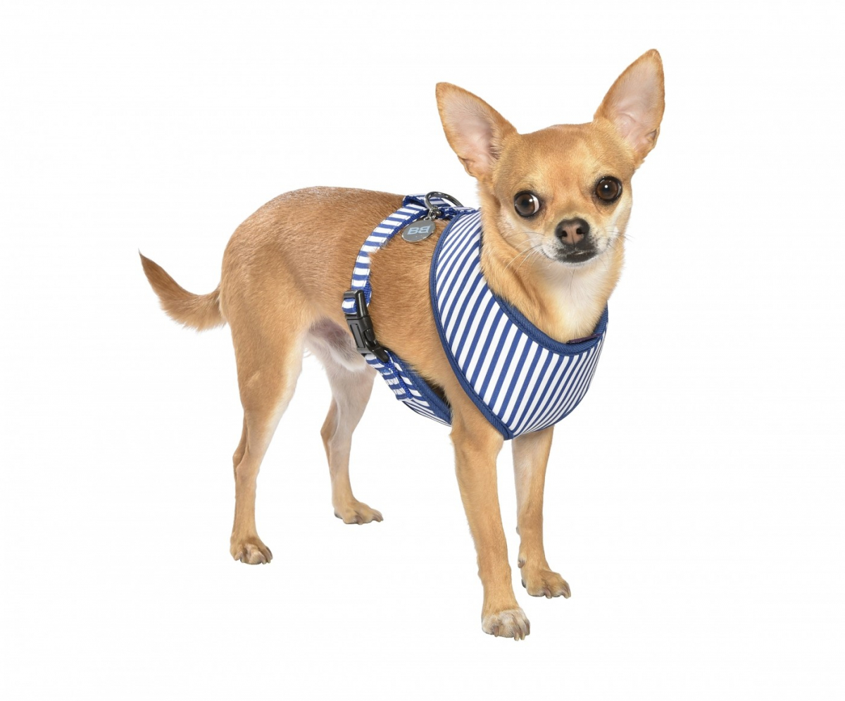 BrustSchutz TShirt für Hunde Marina BOBBY