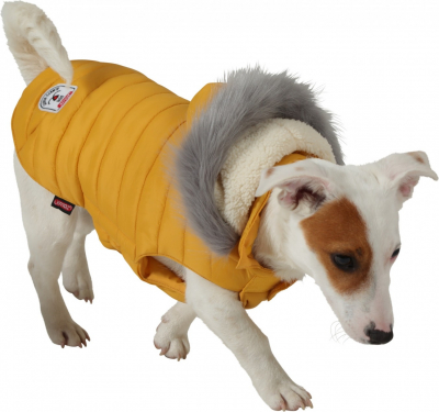 laag 鍔 Competitief Reacties op Urban jas voor honden, geel