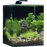 Dennerle Aquarium NanoCube Basic Style LED