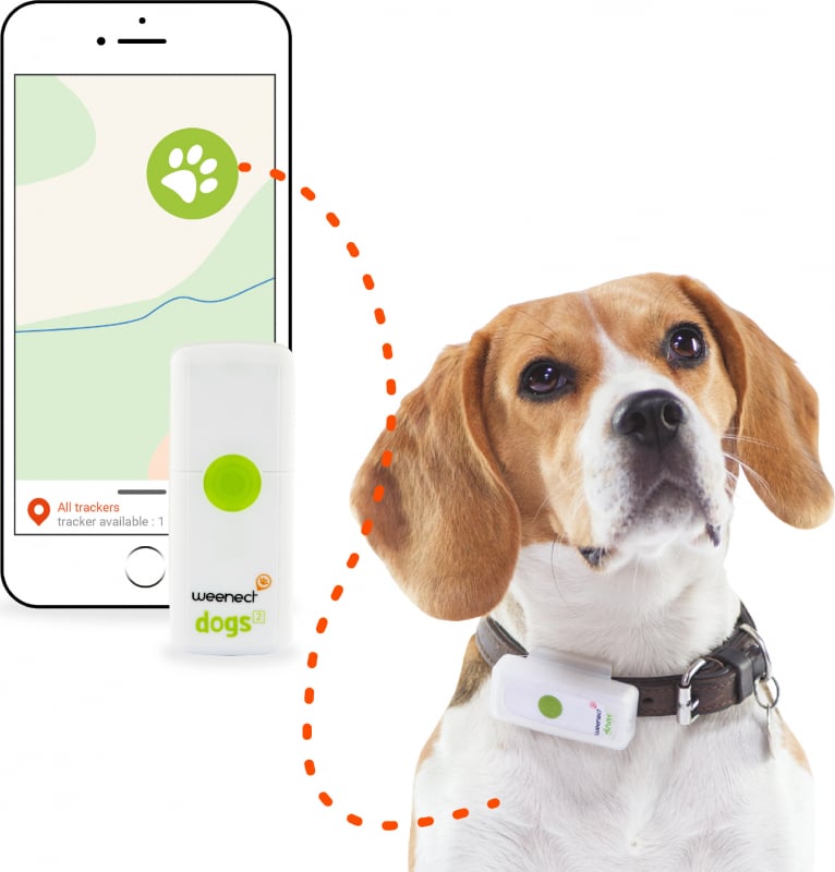 GPS-Tracker für Hunde Weenect Dogs