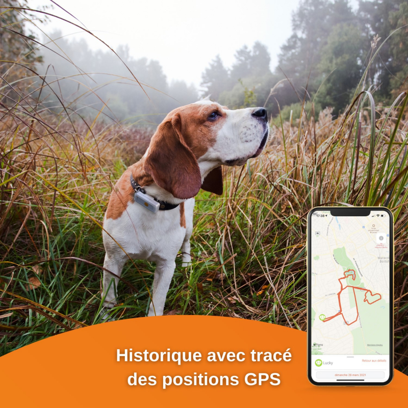 Localizador GPS para cães Weenect Dogs