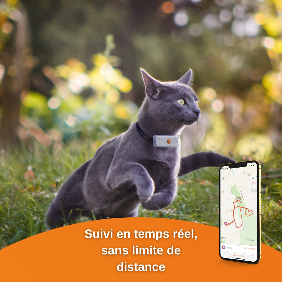 Collier GPS pour chat - Weenect XS