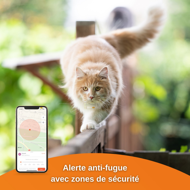 GPS-Peilsender für Katzen Weenect Cat²