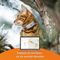 GPS-Peilsender für Katzen Weenect Cat²