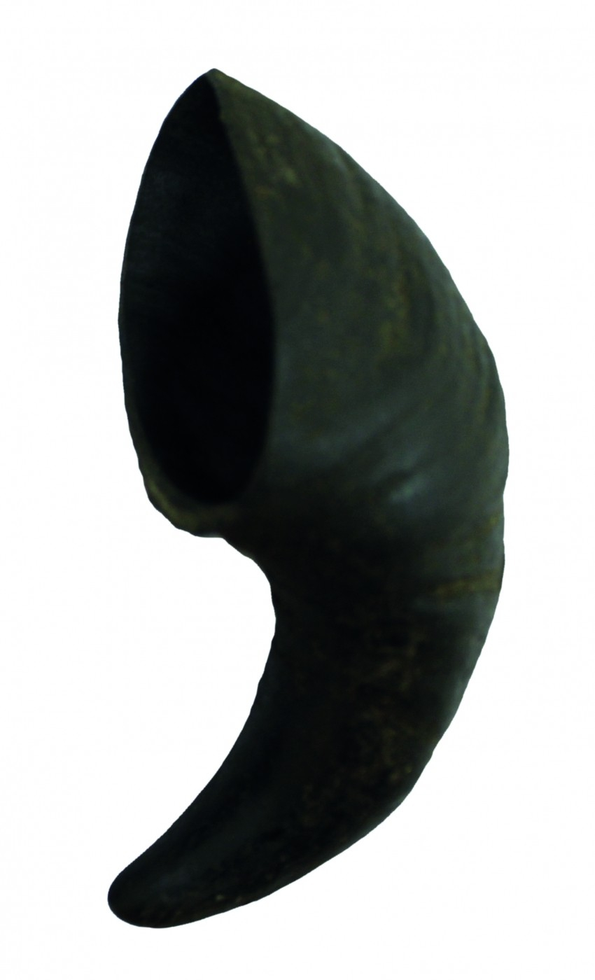BUBIMEX - Büffel Horn - 3 Größen zur Auswahl