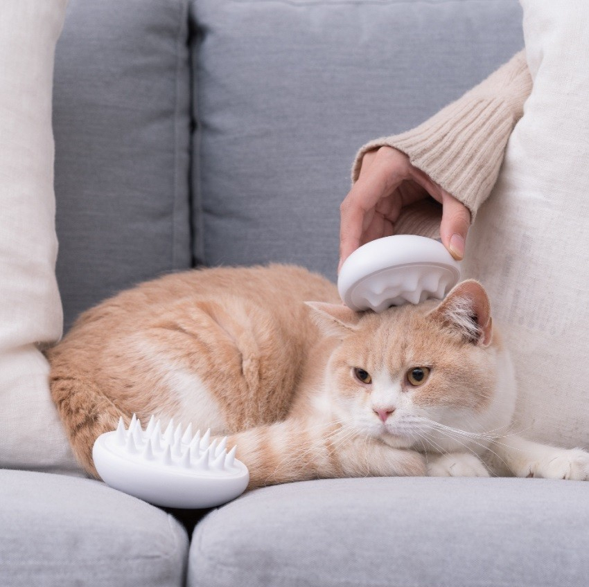 Toiletteur Pour Chat