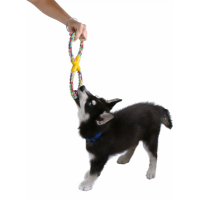 Juguete para tirar de cuerda para perro Zolia