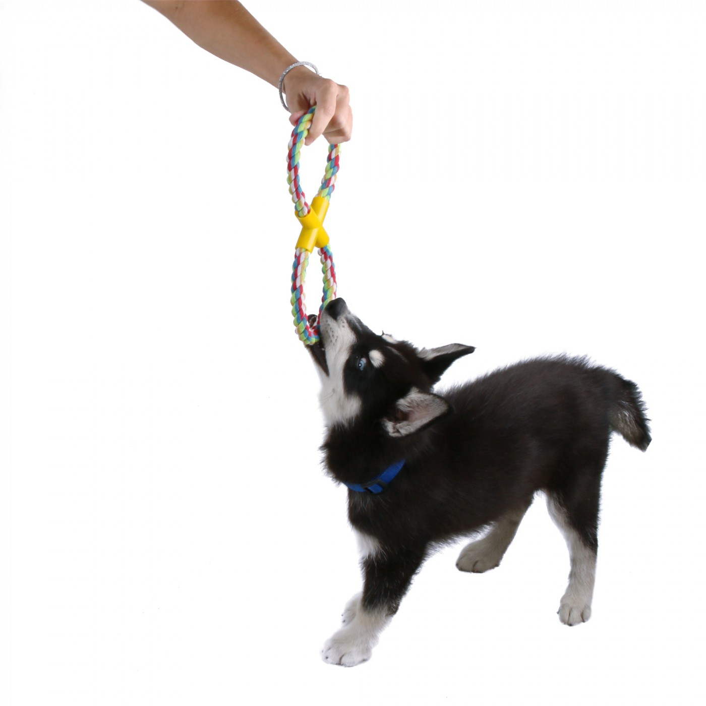 Brinquedo de puxar feito de corda para cão da Zolia