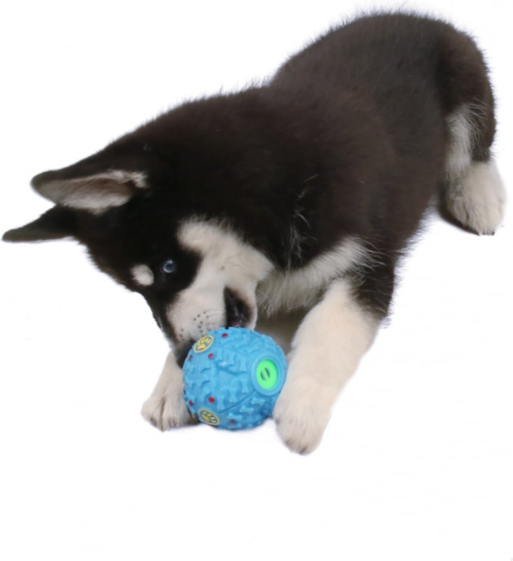 Zolia FUN Play&Snack лакомство для собак звуковой мяч