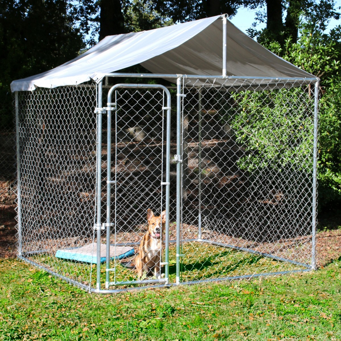 Chenil pour chiens en kit 6 m2
