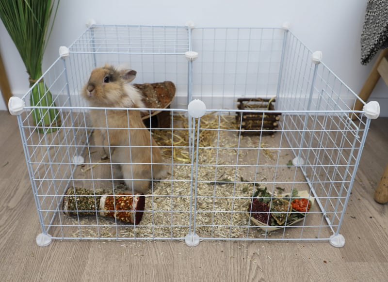 Parque modular Zolia Merry - Set completo para conejos y roedores
