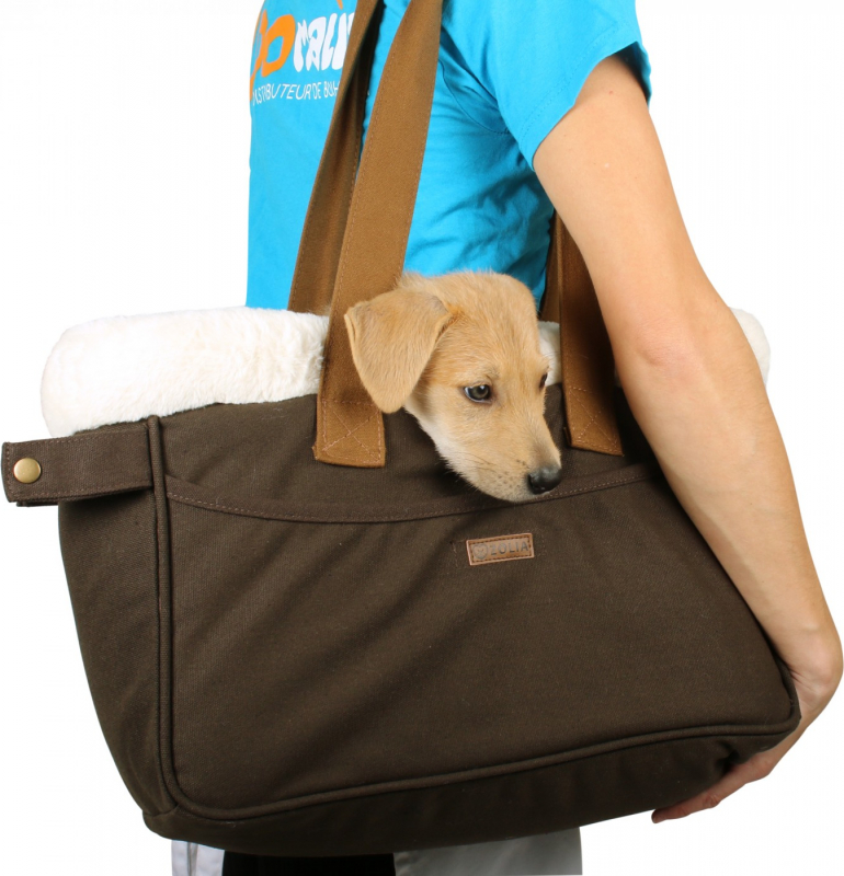 Bolso de mano para transporte de perros pequeños o gatos Zolia Aspen