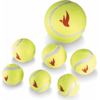 DIVISTAR Balles de tennis pour chien – 24 cm Balle de tennis géante à  mâcher pour animal domestique – Grande balle de tennis gonflable signature  Mega