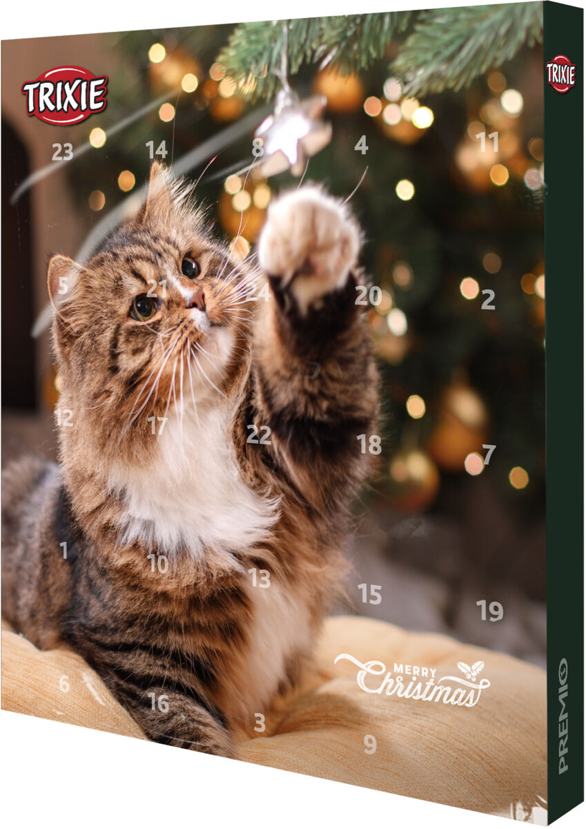 Calendário de advento para gato Edição 2019
