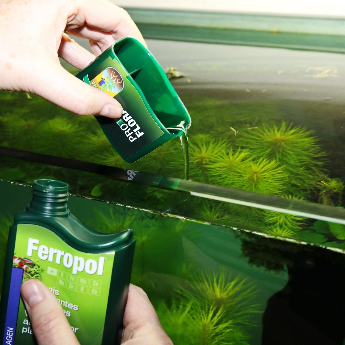 JBL Ferropol Engrais liquide pour plantes d'aquarium avec oligo