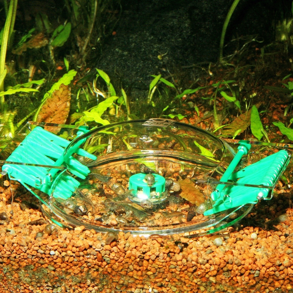 JBL LimCollect trappola per lumache per acquari d'acqua dolce