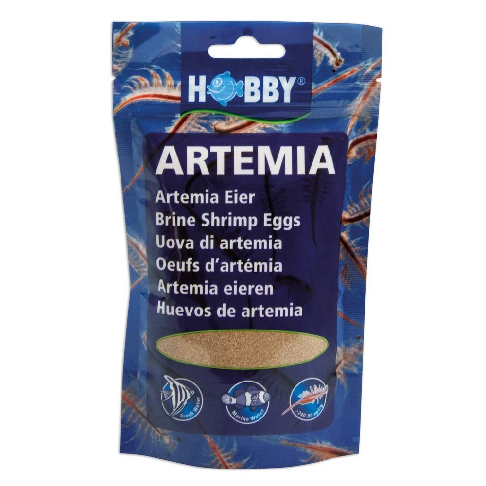Criação de artémias Hobby Ovos de Artemias