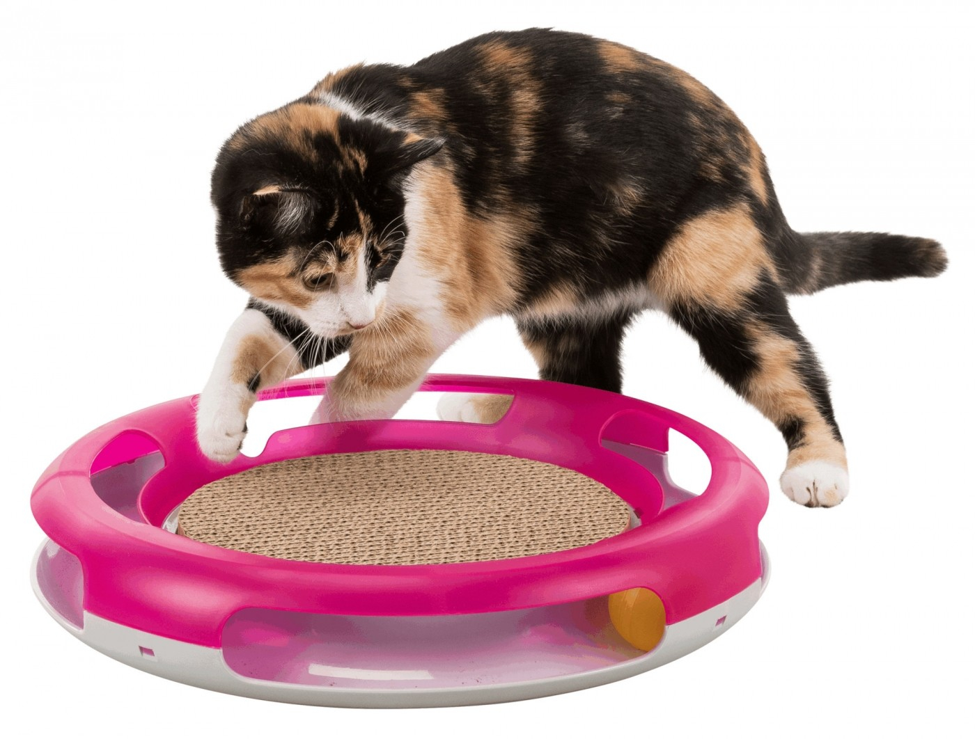 Trixie Katzenspielzeug Race & Scratch