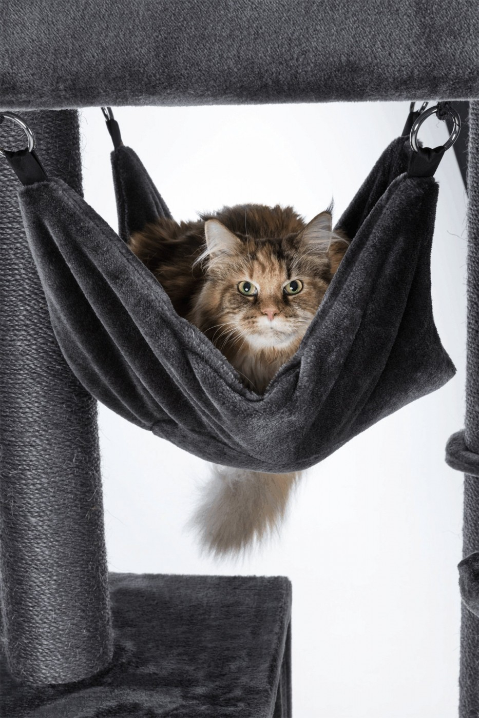 Albero per gatto XXL Trixie Amadeus - H163 cm - grigio
