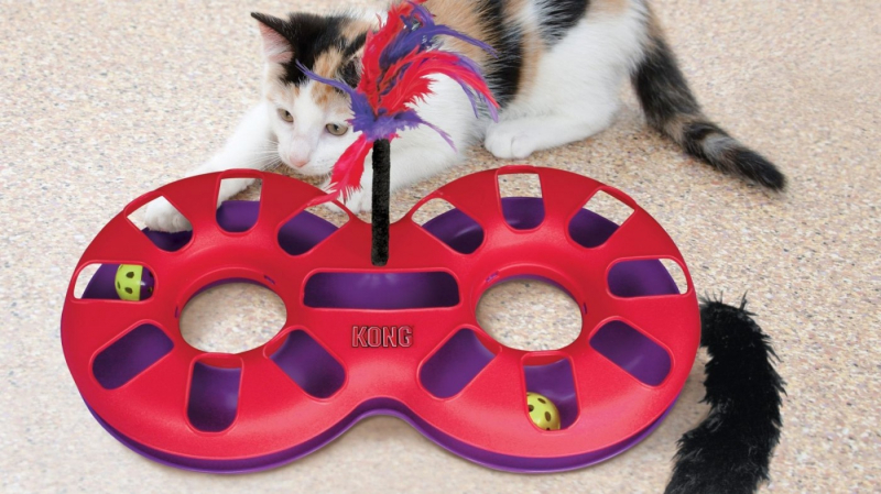 KONG Juguete para gato Cat Active Eight Track
