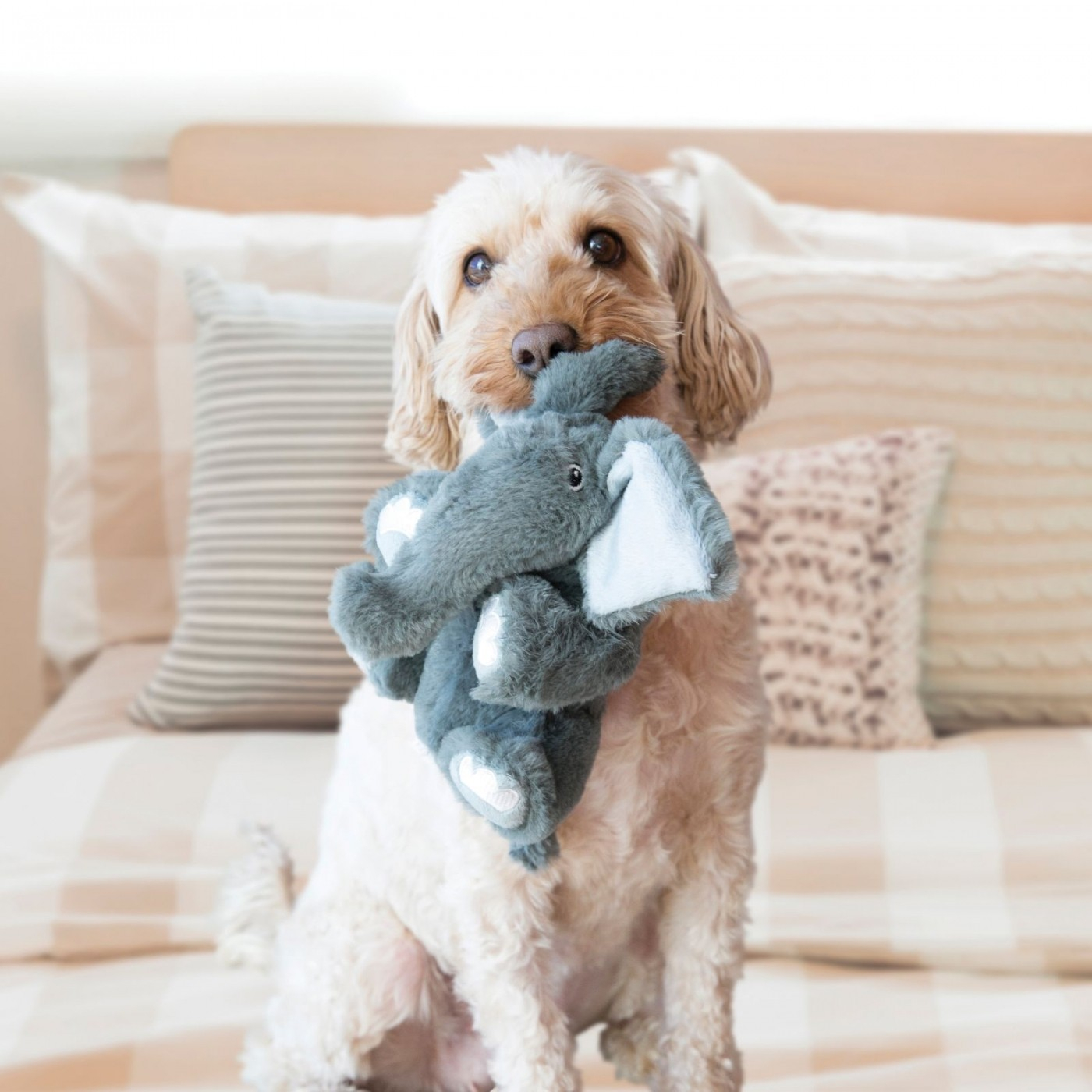 Peluche para perro Comfort Kiddos Elefante - Dos tamaños disponibles
