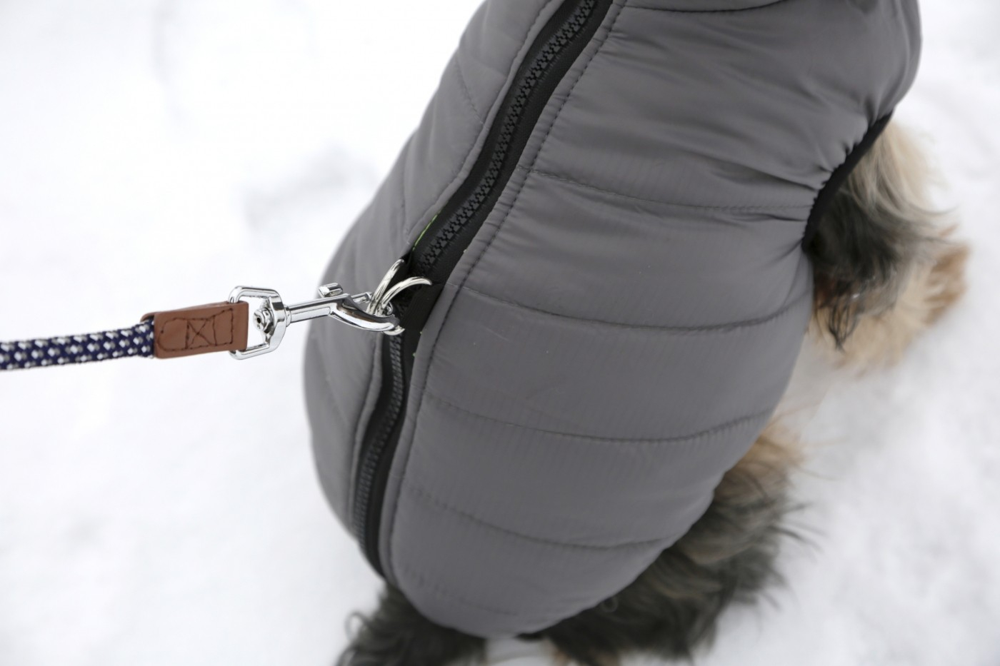 Warme jas voor honden