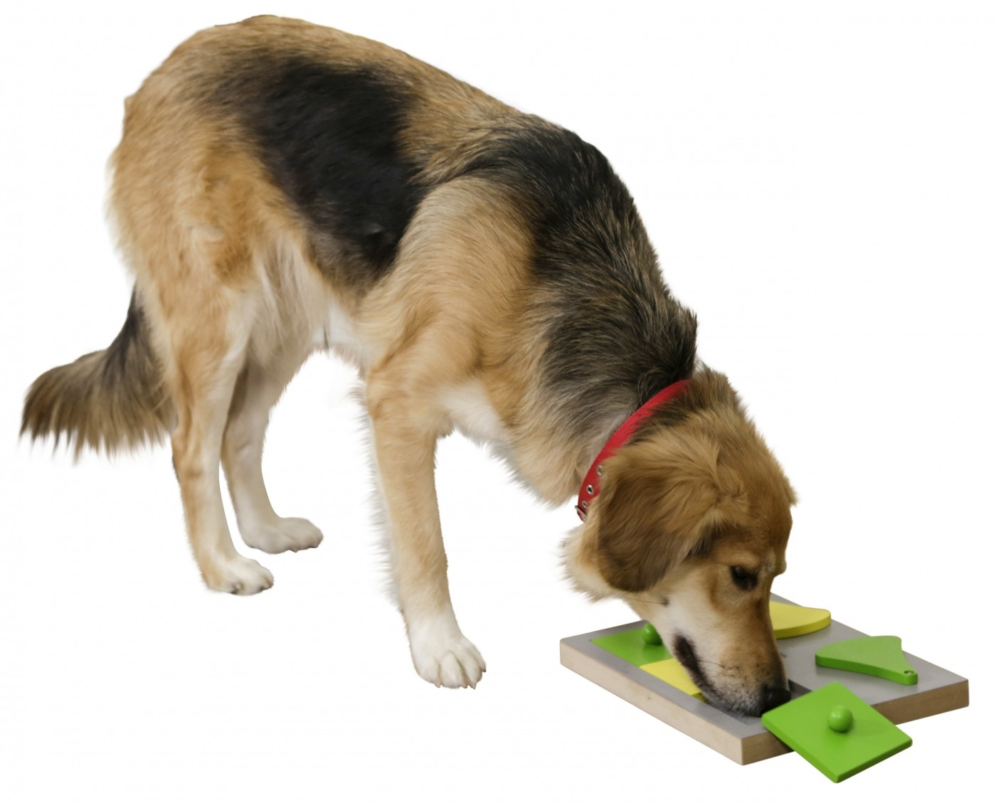 KERBL Spiel Cake Puzzle für Hund - Ideal für Anfänger