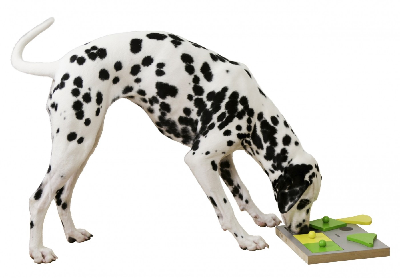 KERBL Giocattolo puzzle Cake per cane - Ideale per principianti