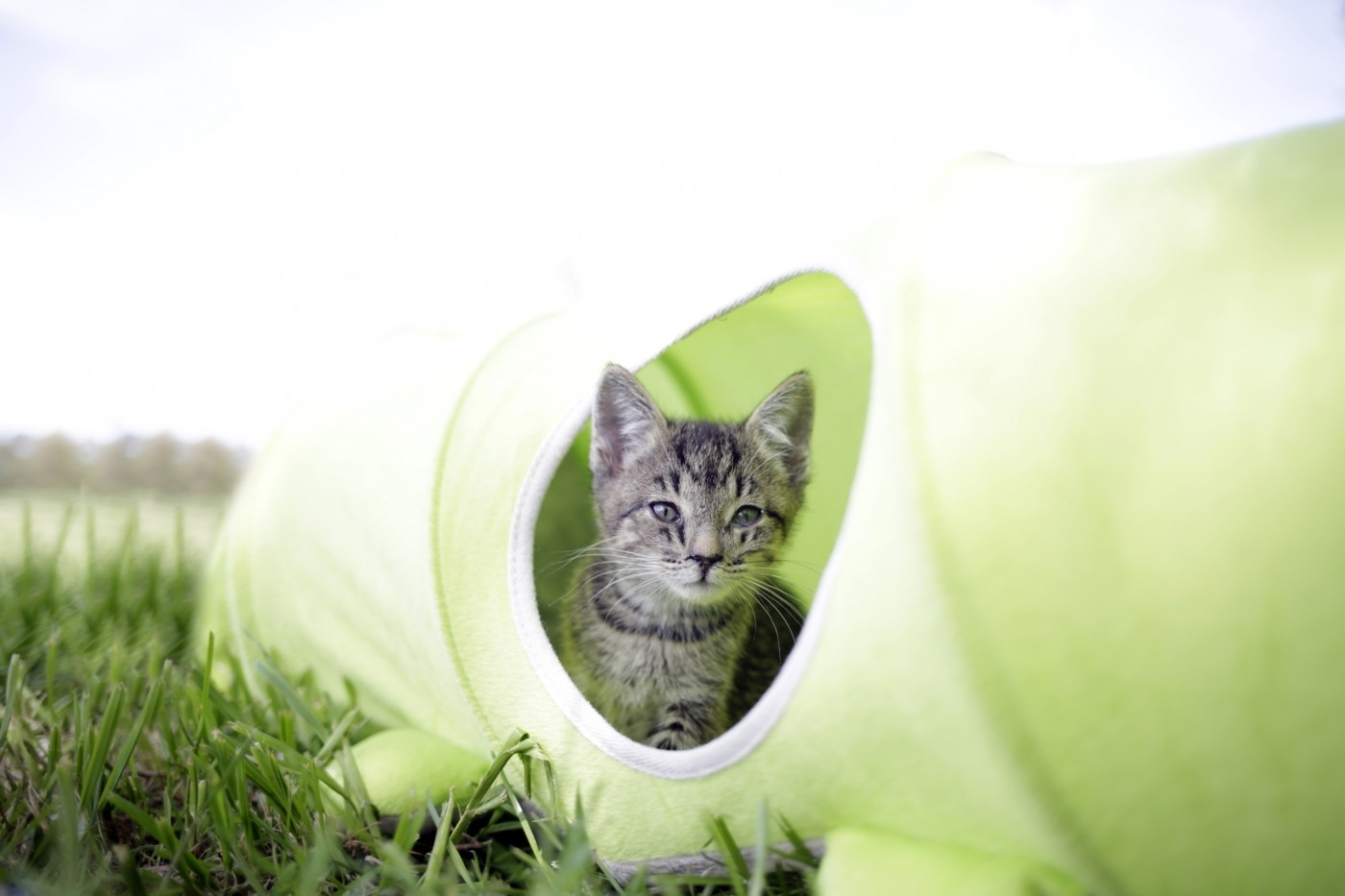 Kerbl Tunnel pour chat