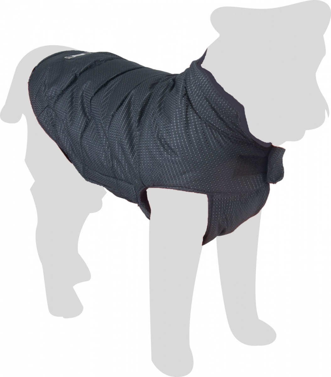manteau pour chien epagneul breton
